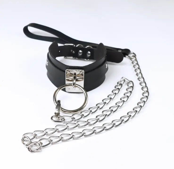 LacyMate™ Follow Me Collar and Leash