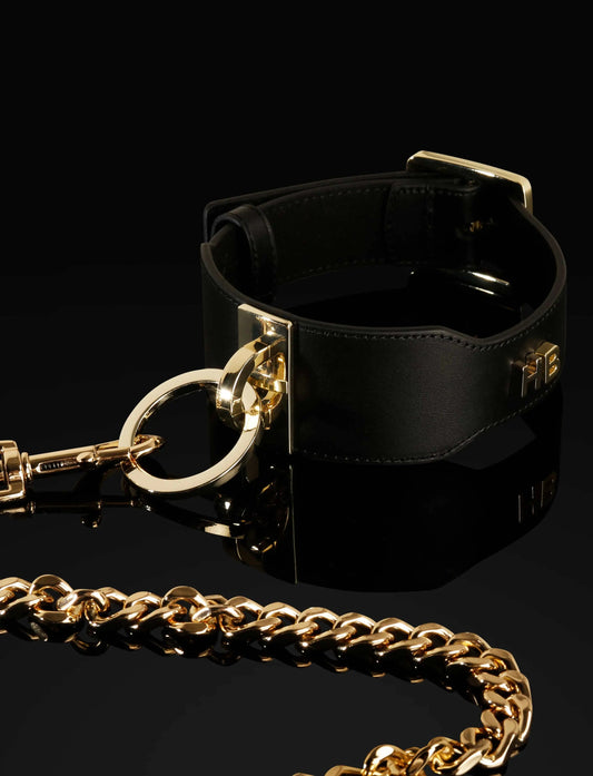 LacyMate™ Leather Collar