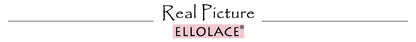 Ellolace Lingerie Set Women's Underwear Set Push up Hollow Out Bra Set Transparent Bralette Erotic Lingerie Female Underwear Set