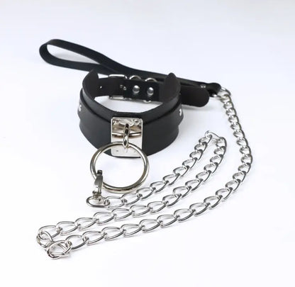 LacyMate™ Follow Me Collar and Leash